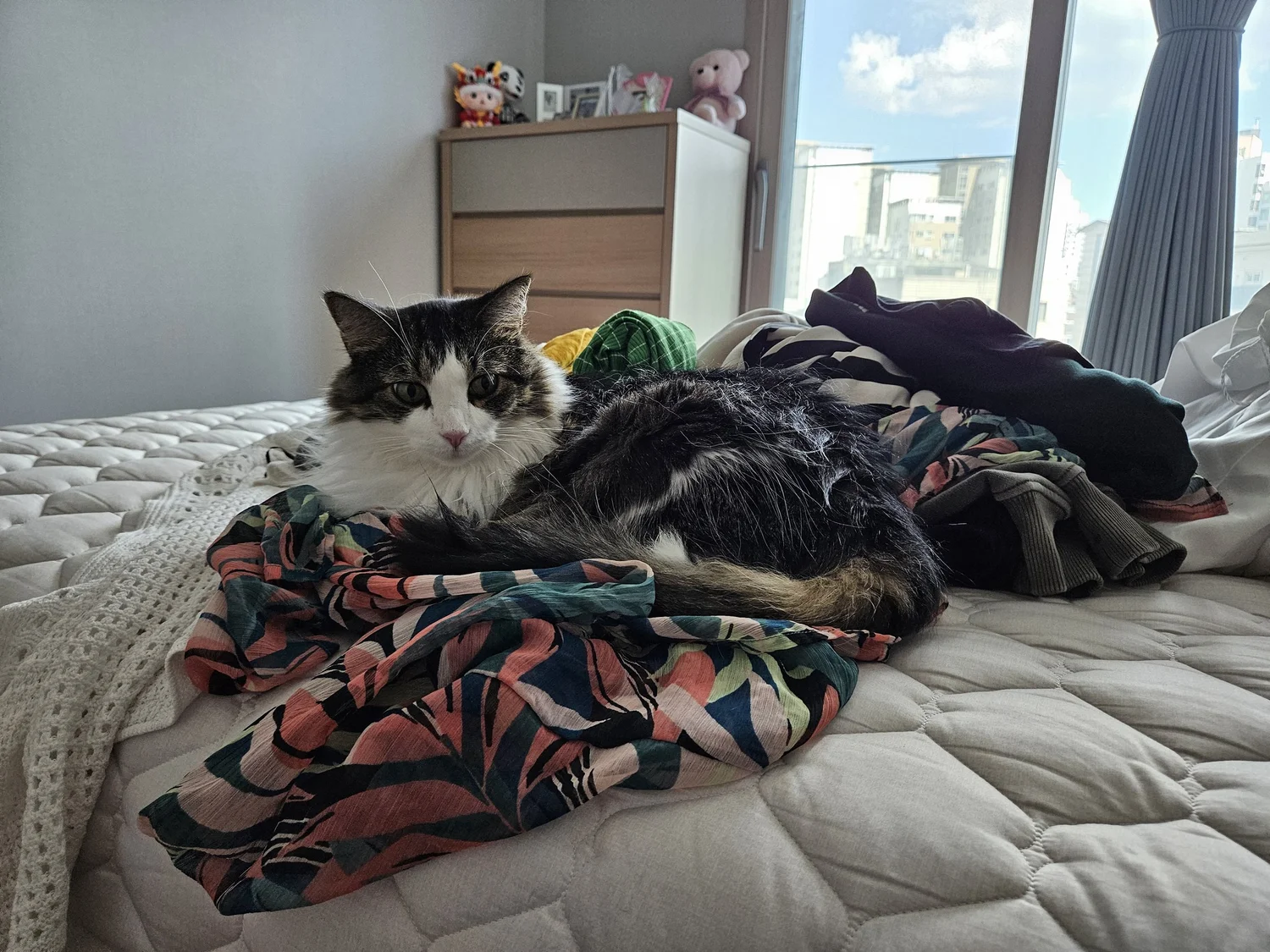 A travel snapshot